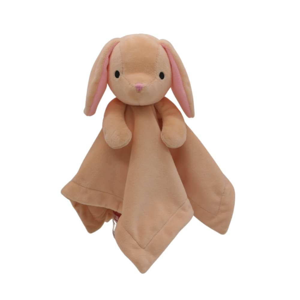 Sleepy Friends Soother - Bunny - Funky Gifts NZ