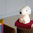 Snoopy Bundle Of Light - Funky Gifts NZ