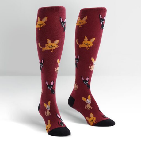 Sock It To Me - Knee High Socks - Chihuahua - Funky Gifts NZ