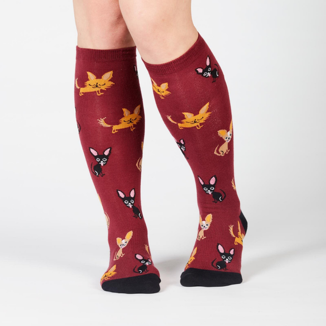 Sock It To Me - Knee High Socks - Chihuahua - Funky Gifts NZ