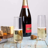 Stemless Champagne Flutes - Funky Gifts NZ