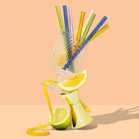 Sucker - Reusable Glass Cocktail Straw Set - Funky Gifts NZ