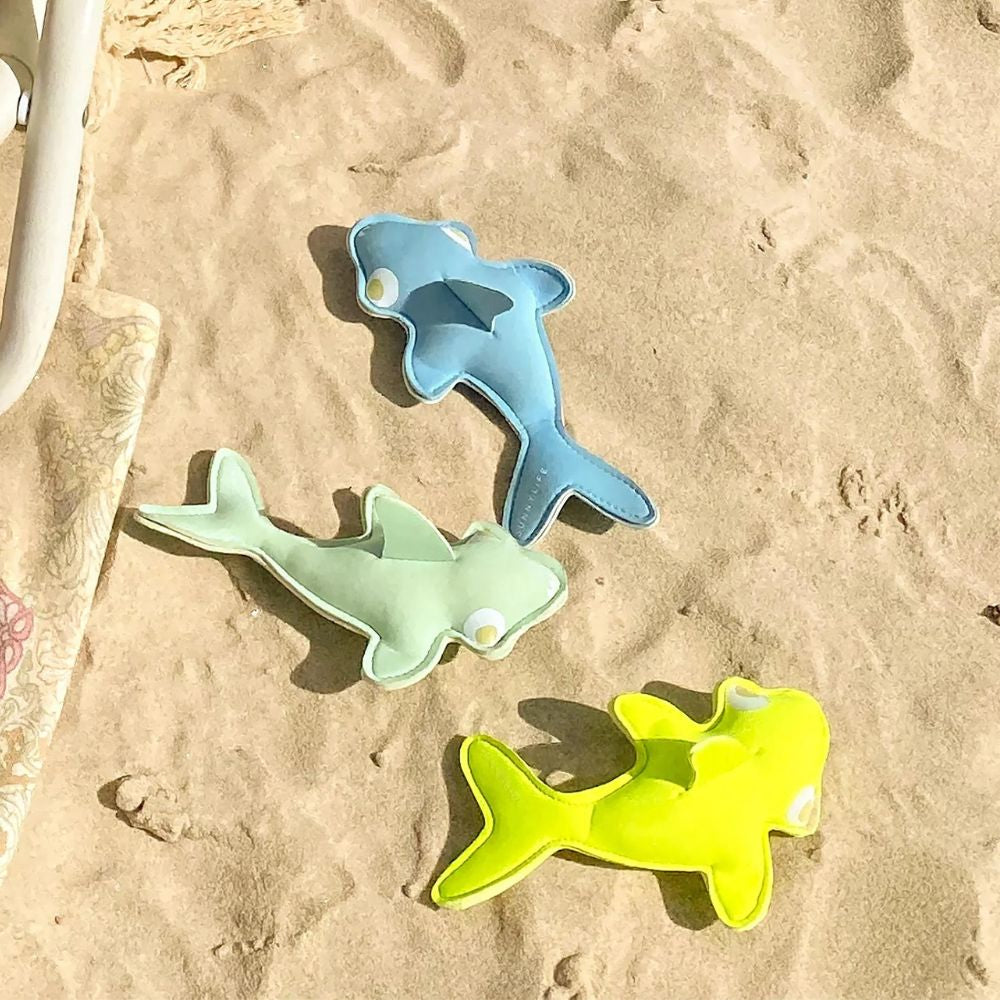 Ultimate Family Fun in the Sun Gift Hamper - Funky Gifts NZ