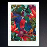 Flox A4 Print - Tui In Bloom Limited Edition - Funky Gifts NZ