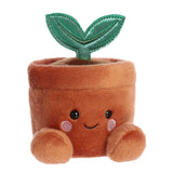 Palm Pals - Terra Potted Plant - Funky Gifts NZ