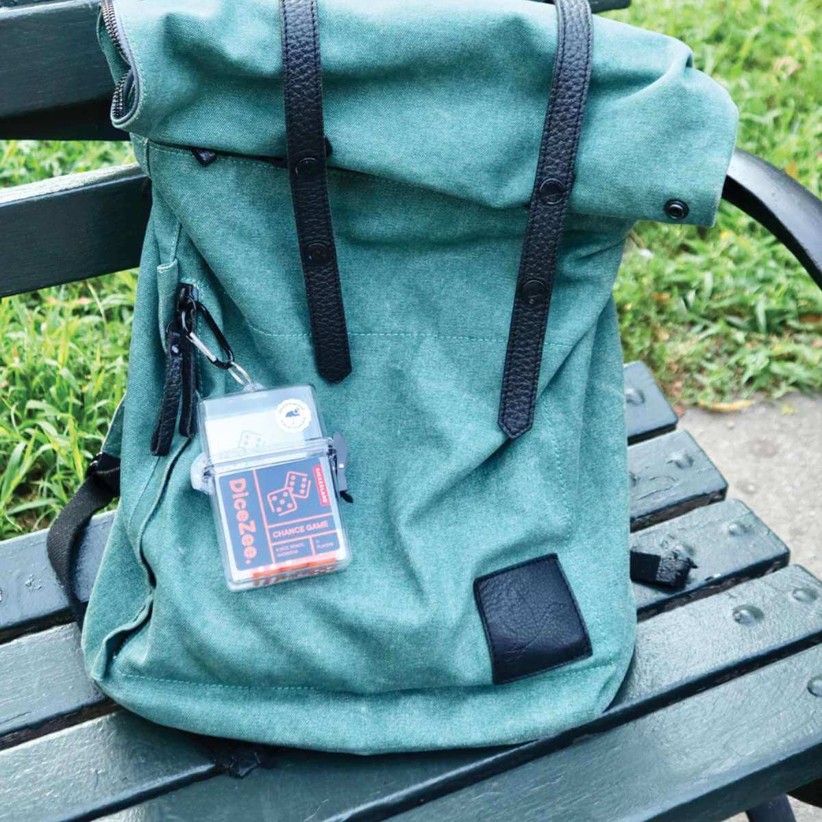 Travel_DiceZee.jpg
