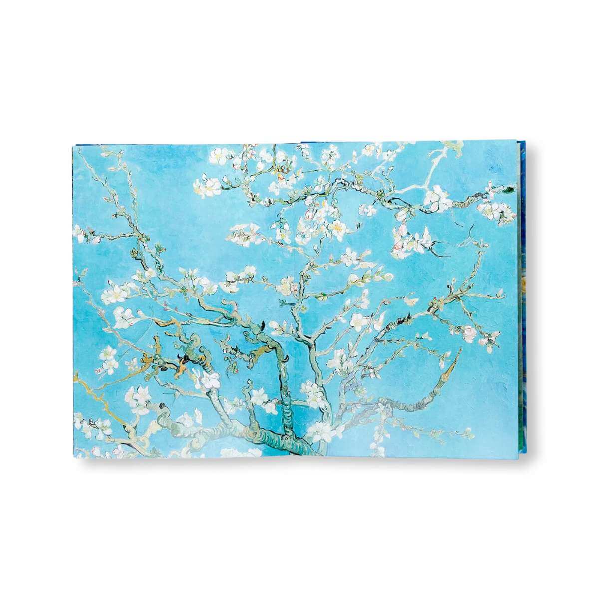 Van Gogh: The Essential Paintings - Funky Gifts NZ