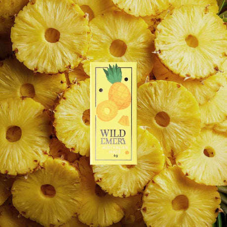Mini Lip Balm - Pineapple - Funky Gifts NZ