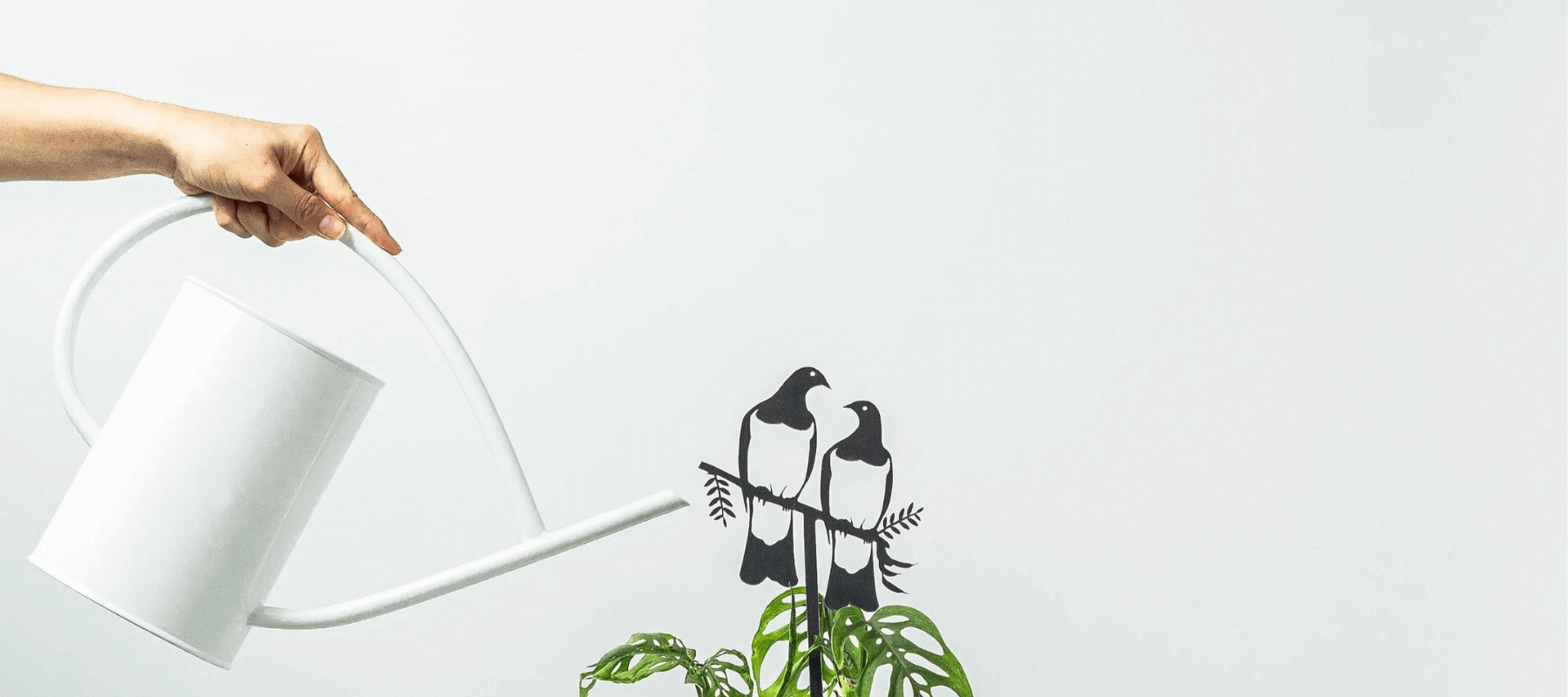 Metal bird love birds plant stake with watering can