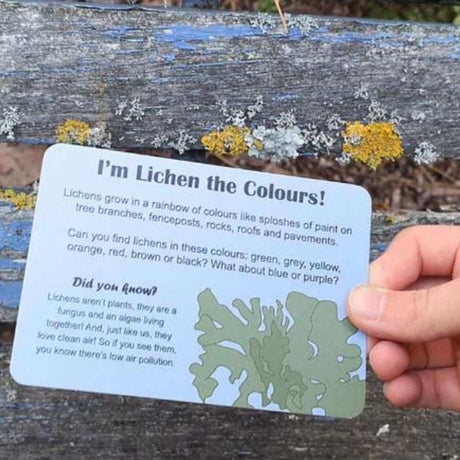 Kiwi Garden Treasure Hunt - Funky Gifts NZ