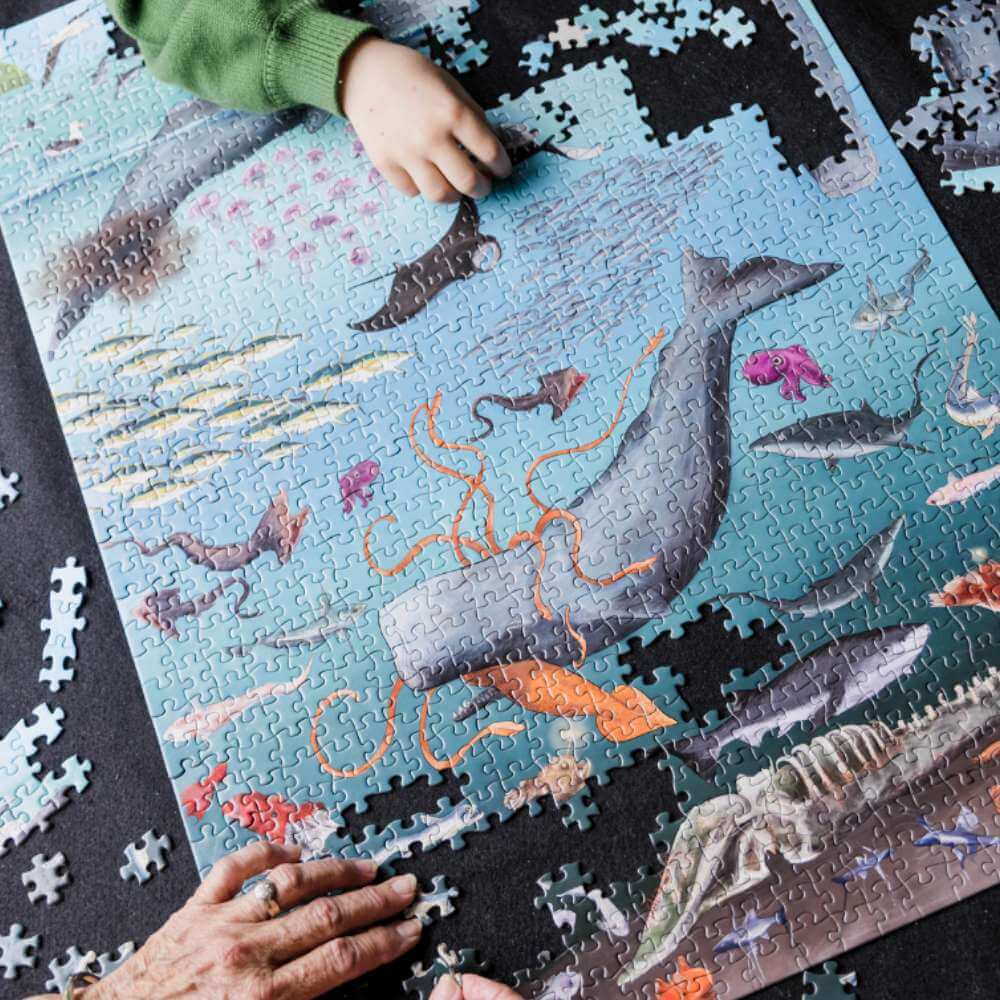 Whale Poo and CO₂ Puzzle - Funky Gifts NZ