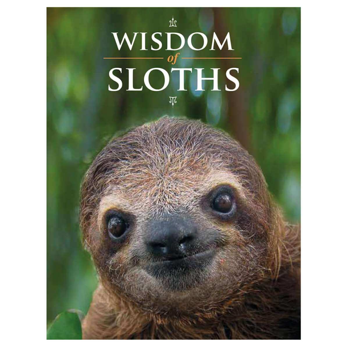 Wisdom of Sloths - Funky Gifts NZ