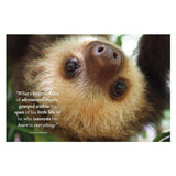 Wisdom of Sloths - Funky Gifts NZ