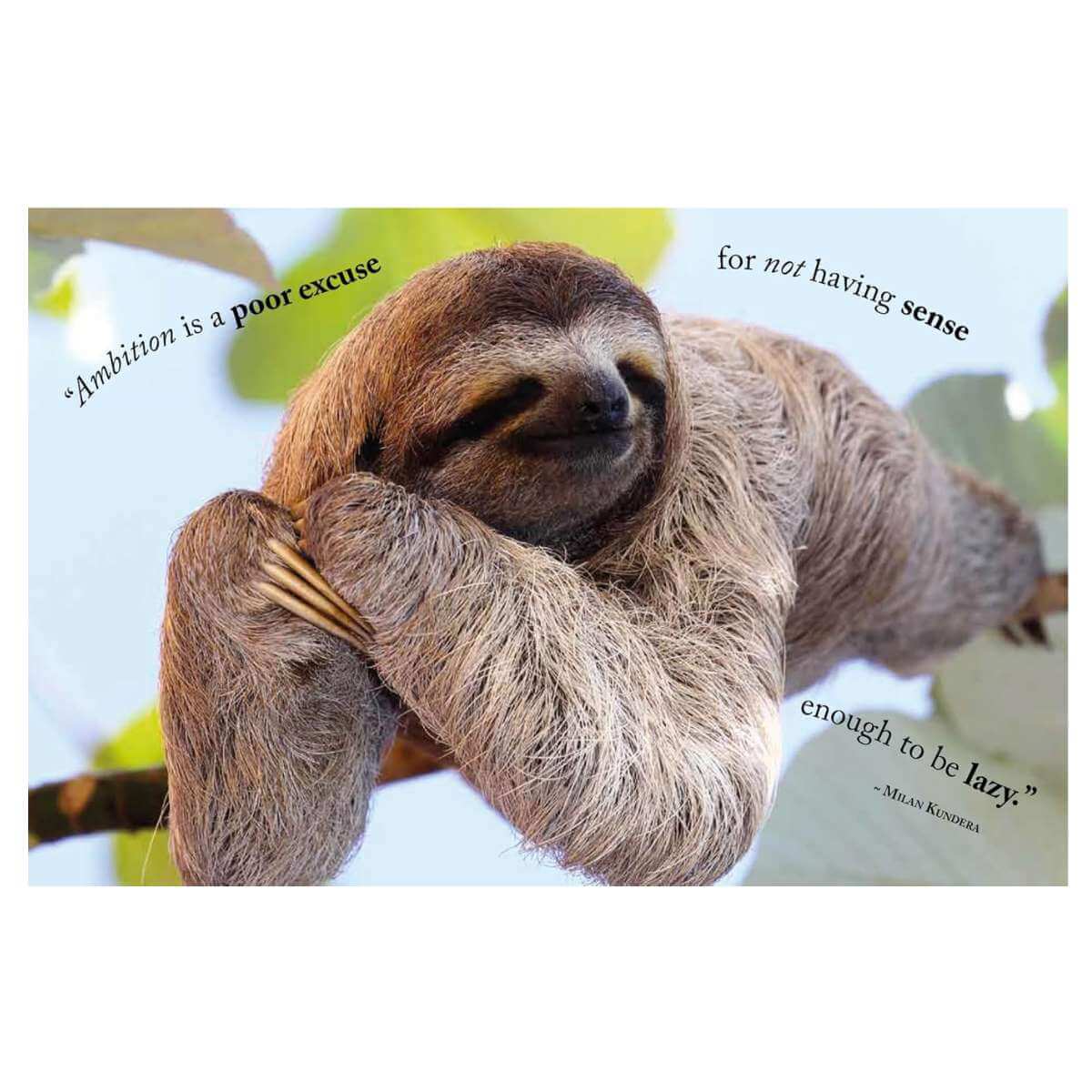 Wisdom of Sloths - Funky Gifts NZ