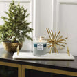 Medium WoodWick Scented Soy Candle - Icy Woodland - Funky Gifts NZ