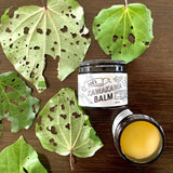 Zoe's Kawakawa Balm - Funky Gifts NZ