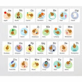 Alphabet Kiwi Flash Cards - Funky Gifts NZ