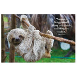 Wisdom of Sloths - Funky Gifts NZ