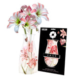 Modgy Vase - Jacob Marrell Tulips - Funky Gifts NZ