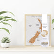 New Zealand Desk Travel Map - Pin Board - Funky Gifts NZ