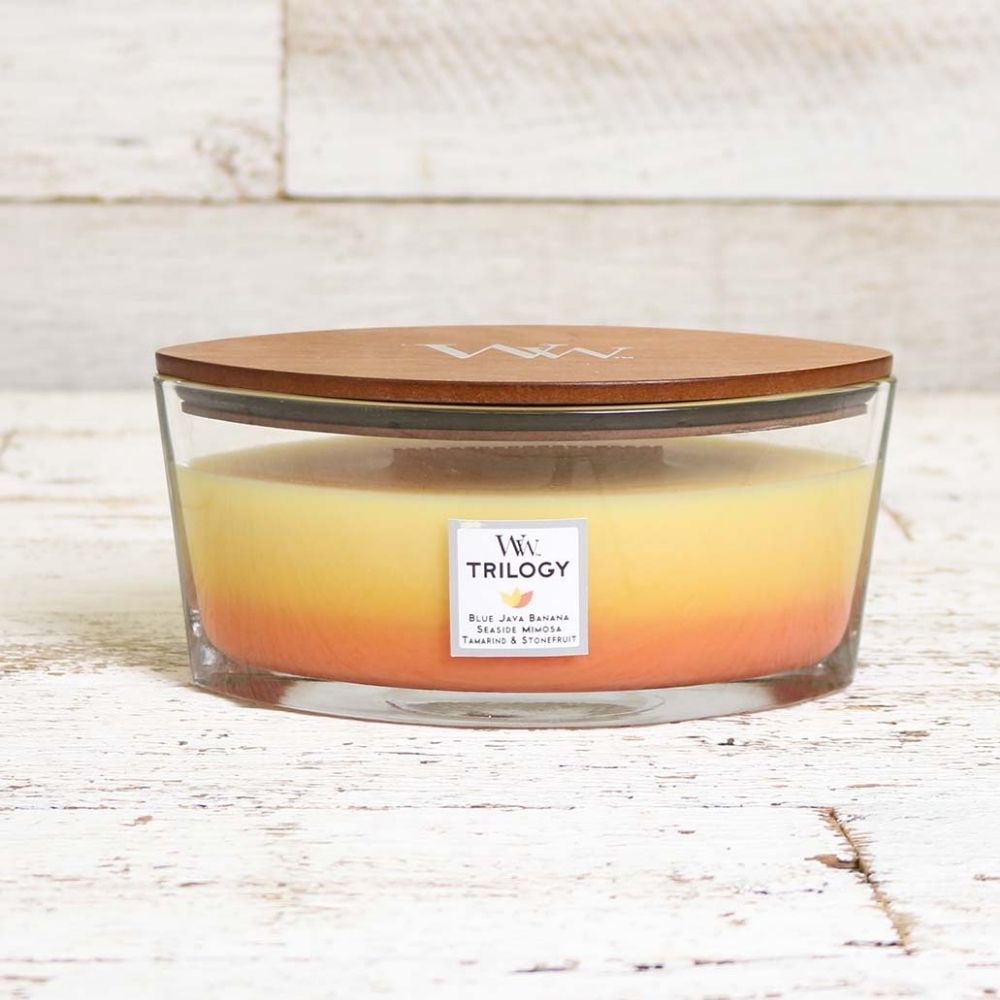 Ellipse WoodWick Scented Soy Candle - Tropical Sunrise - Funky Gifts NZ