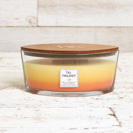 Ellipse WoodWick Scented Soy Candle - Tropical Sunrise - Funky Gifts NZ