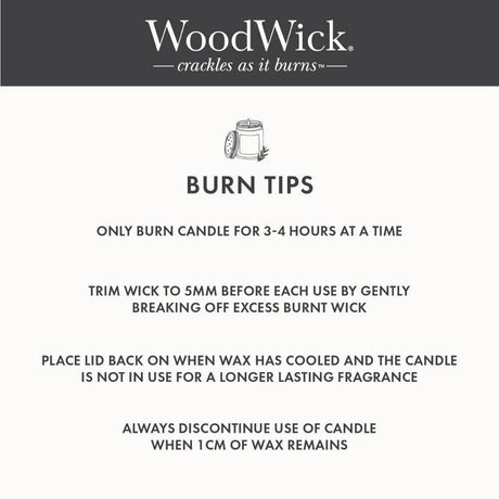 Ellipse WoodWick Scented Soy Candle - Melon Blossom - Funky Gifts NZ