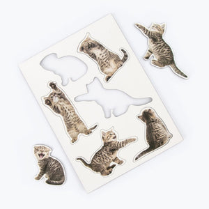 Action Cat Magnets - Funky Gifts NZ