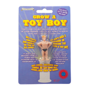 Grow A Toy Boy - Funky Gifts NZ