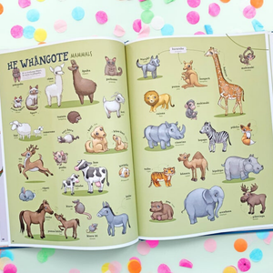 Kuwi & Friends Maori Picture Dictionary - Funky Gifts NZ