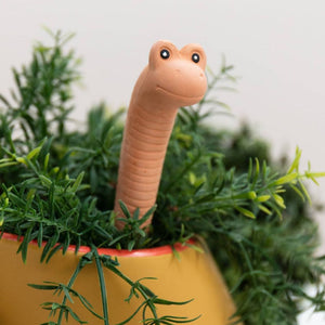 Willy The Worm - Funky Gifts NZ