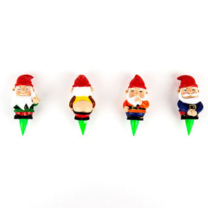 Naughty Gnomes Planters - Funky Gifts NZ