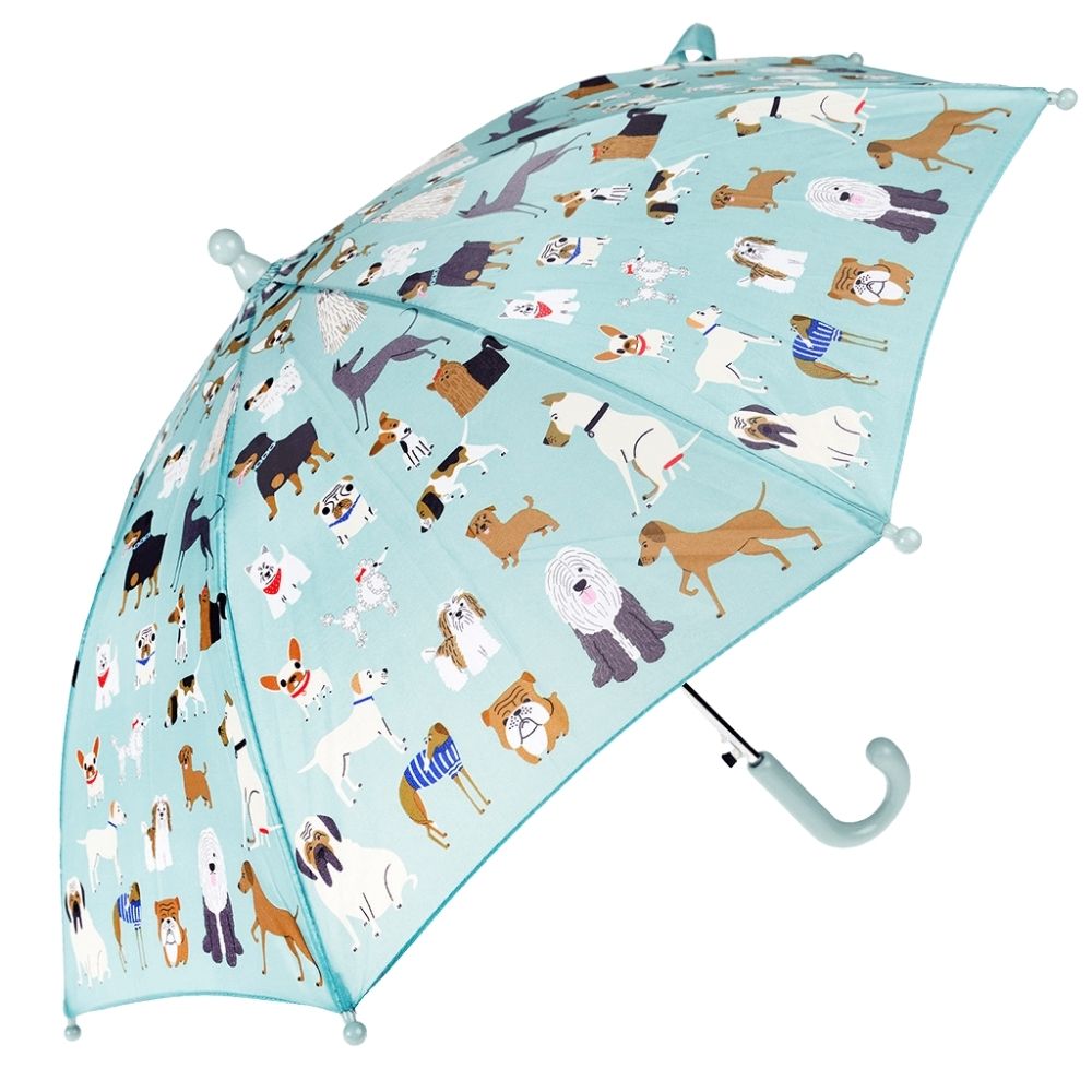 Kids Umbrella - Best In Show - Funky Gifts NZ