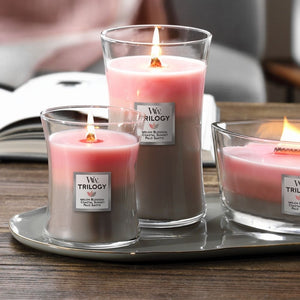 medium trilogy shoreline woodwick candle from funky gifts nz