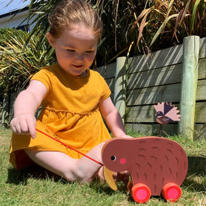 Moana Rd - Wheelie Kiwi Toy - Funky Gifts NZ