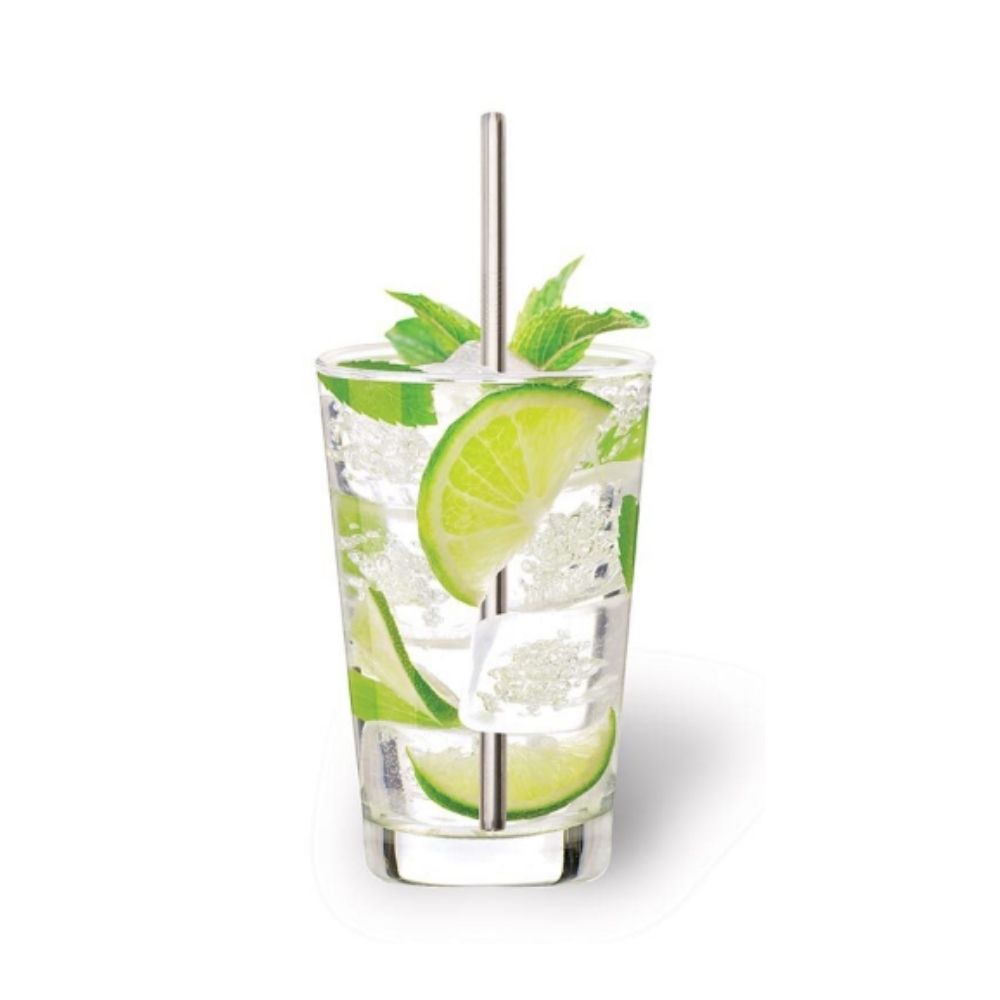 Planet Earth Reusable Straight Metal Straw - Funky Gifts NZ