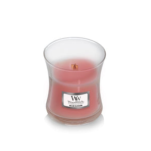 Small WoodWick Scented Soy Candle - Melon Blossom - Funky Gifts NZ