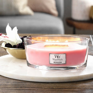 Ellipse WoodWick Scented Soy Candle - Melon Blossom - Funky Gifts NZ