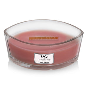 woodwick ellipse candle melon blossom from funky gifts nz